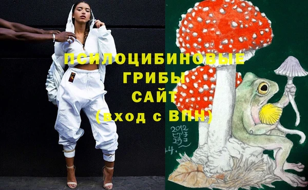 альфа пвп Алексеевка