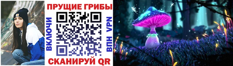 закладки Находка Псилоцибиновые грибы ЛСД