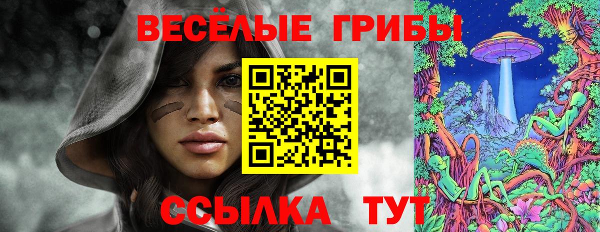 Находка  Галлюциногенные грибы Psilocybine cubensis  Вход с VPN  Псилоцибиновые грибы Magic Shrooms 